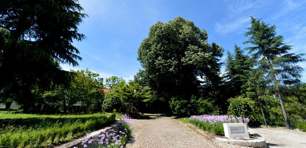 Casa Da Vila ヴィゼラ エクステリア 写真